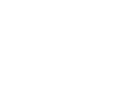 Concert IDC Logo